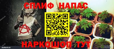 спиды Пугачёв
